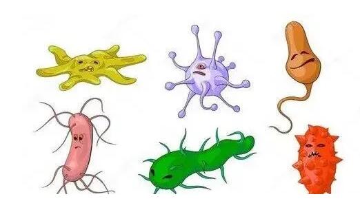 污水處理中常見的微生物生長條件