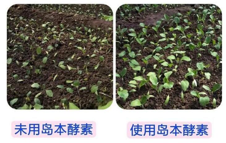 微生物肥料的功能有哪些？