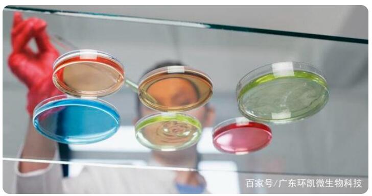 微生物培養(yǎng)基中的生長因子和碳源氮源無機鹽生長因子指哪些