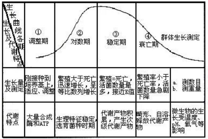 關于活性污泥的10個基本知識