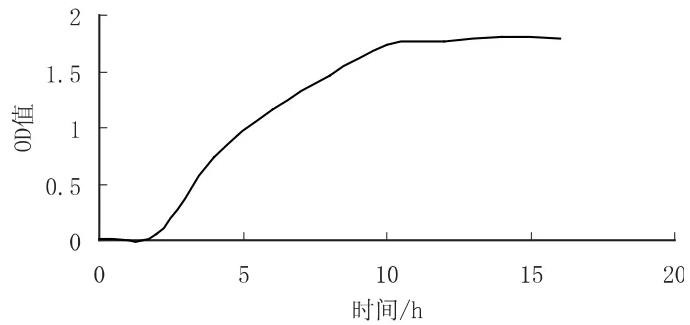 基于紫外誘變方法篩選耐高溫、高產(chǎn)酒率的釀酒酵母