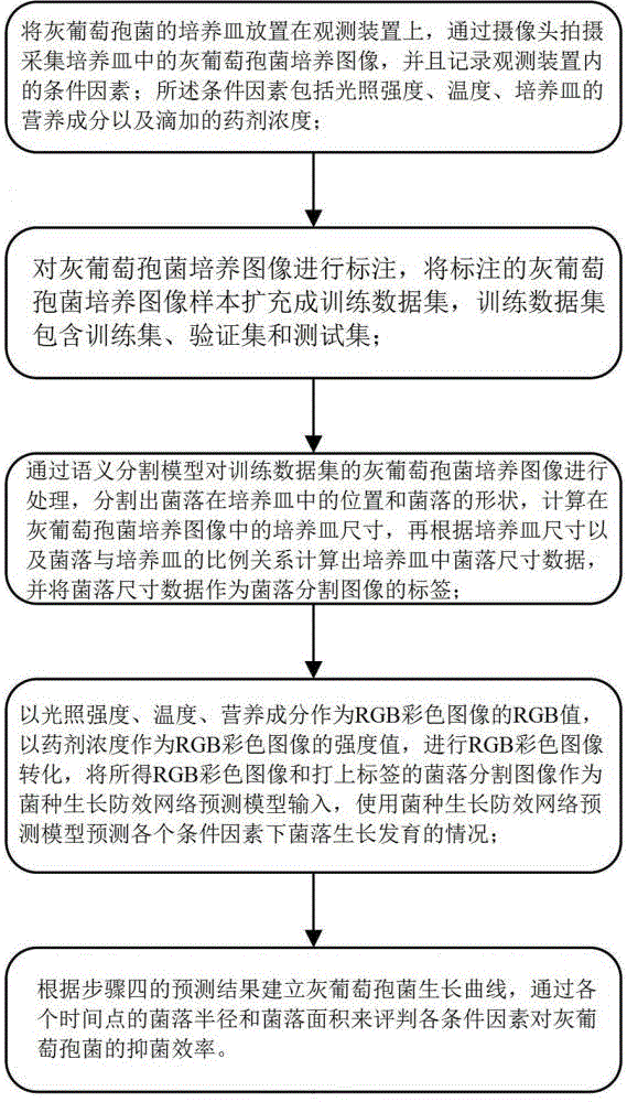 基于機(jī)器視覺的灰葡萄孢菌防效分析方法及裝置