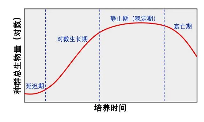 生長曲線對于哺乳動物細胞培養(yǎng)的意義與操作注意事項