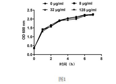 生長曲線試驗：槲皮素通過抑制PPK1酶活性降低鮑曼不動桿菌耐受性