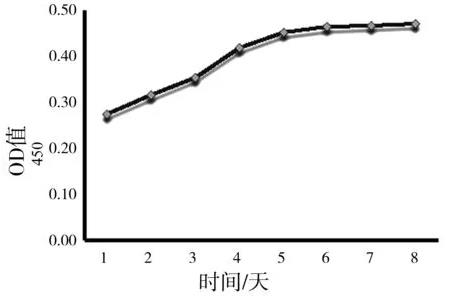 2型糖尿病db/db小鼠血管內(nèi)皮細胞培養(yǎng)與生長曲線檢測