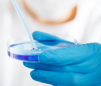 表面表達非洲豬瘟IrrE蛋白的大腸桿菌重組菌培育方法與生長曲線繪制