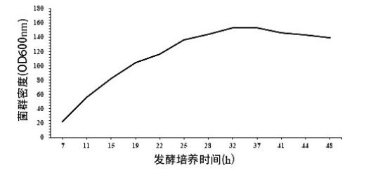 大腸埃希氏菌衰亡期再次接種菌種和補(bǔ)加乳糖可提高巖藻糖基乳糖產(chǎn)量