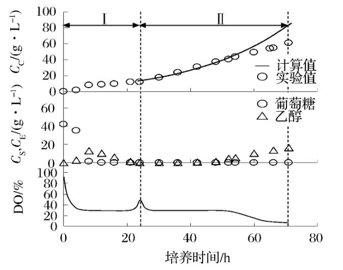 抗凍酵母生產(chǎn)速度與μ減小速度、累計補料體積有關嗎？