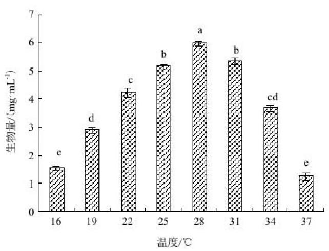 Act0988放線菌拮抗菌株的鑒定、培養(yǎng)條件與菌株生長關系、發(fā)酵工藝（二）