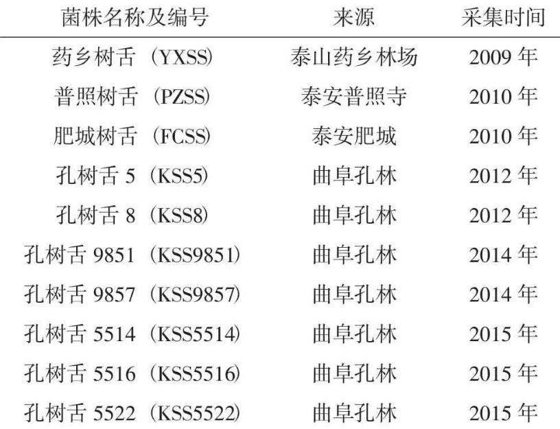 藥用真菌樹舌靈芝培養(yǎng)基配方及菌絲生長(zhǎng)試驗(yàn)（一）