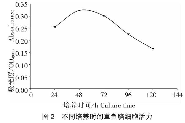 草魚腦細胞的原代培養(yǎng)方法及細胞活力測定
