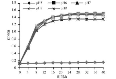 不同溫度、ph、N源、C源下?氟磺胺草醚降解菌株FCX2生長(zhǎng)特性