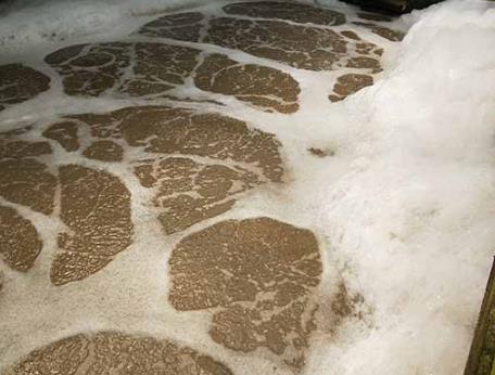 ?高濃度的含鹽廢水對微生物的影響