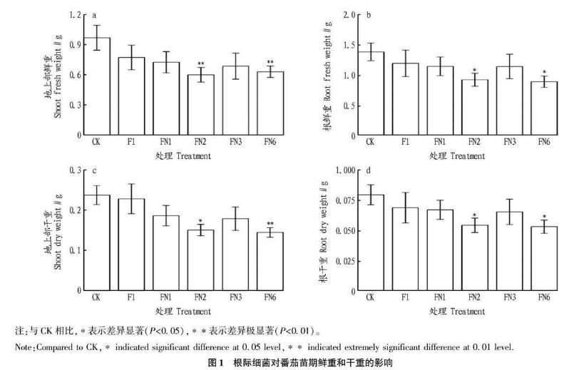 根際細(xì)菌對番茄幼苗根系及生長的影響、應(yīng)用潛力與風(fēng)險（一）