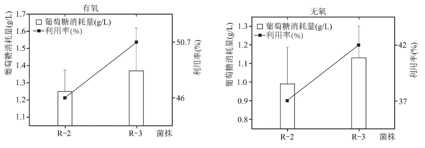 老窖泥篩選分離的6株乳酸利用菌培養(yǎng)、發(fā)酵性能、生長范圍（二）