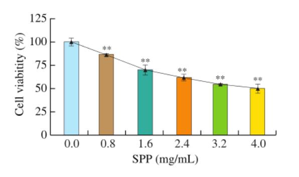 不同劑量SPP對人結(jié)腸癌DLD-1細胞能量代謝的影響（一）