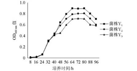 厭氧條件下窖泥富集酯化菌生理生化試驗(yàn)與生長(zhǎng)特性（二）