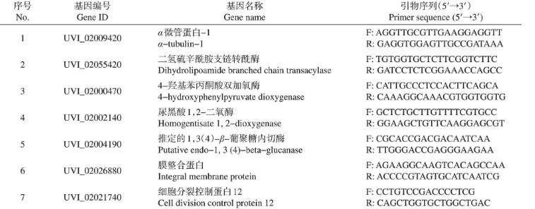 照光對(duì)稻曲病菌菌絲生長(zhǎng)的影響與調(diào)控機(jī)制（一）