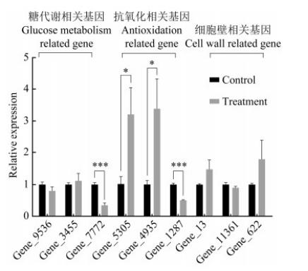 桑椹菌核病拮抗菌的分離篩選、鑒定、生防作用與機(jī)理——討論與結(jié)論