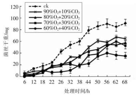 O2/CO2主動(dòng)自發(fā)氣調(diào)對(duì)枝孢菌菌落形態(tài)、致病能力、生長(zhǎng)曲線的影響（二）