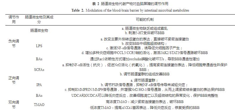 腸道微生物及其代謝產(chǎn)物可調(diào)節(jié)血腦屏障結(jié)構(gòu)和功能完整性（二）