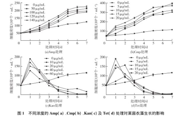 4抗生素對萊茵衣藻生長、光化學活性及其伴生細菌的抑制作用（二）