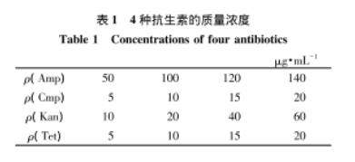 4抗生素對萊茵衣藻生長、光化學活性及其伴生細菌的抑制作用（一）
