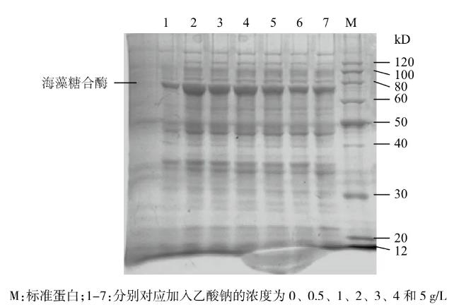 高密度發(fā)酵的過程中乙酸抑制重組大腸桿菌生長及外源基因的表達——討論、結(jié)論