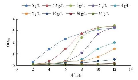 高密度發(fā)酵的過程中乙酸抑制重組大腸桿菌生長及外源基因的表達——摘要