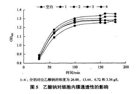 高密度發(fā)酵的過程中乙酸抑制重組大腸桿菌生長及外源基因的表達——結(jié)果