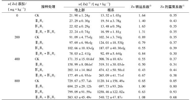 不同鋅濃度下菌株Ⅳ8R3、Ⅱ2R3的生長(zhǎng)曲線及玉米生長(zhǎng)和鋅積累的影響（三）