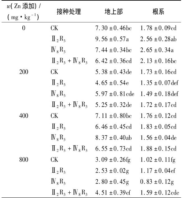 不同鋅濃度下菌株Ⅳ8R3、Ⅱ2R3的生長(zhǎng)曲線及玉米生長(zhǎng)和鋅積累的影響（二）