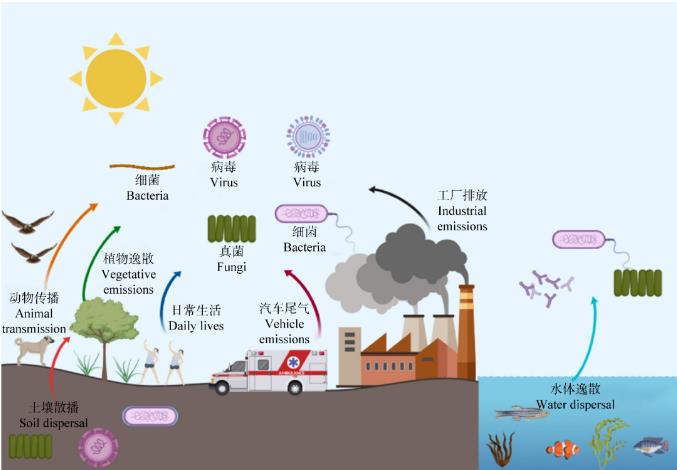 空氣中的微生物主要的種類、來源、影響因素及健康風險（一）