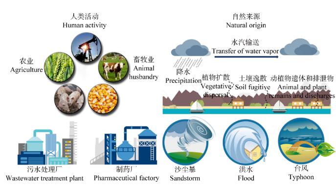 空氣中的微生物主要的種類、來源、影響因素及健康風險（三）