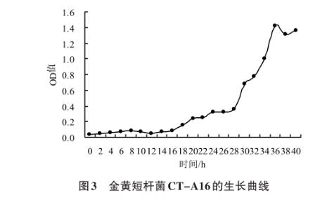 金黃短桿菌CT-A16生長曲線及對(duì)主要食用菌病害的生防機(jī)制——結(jié)果與分析、結(jié)論