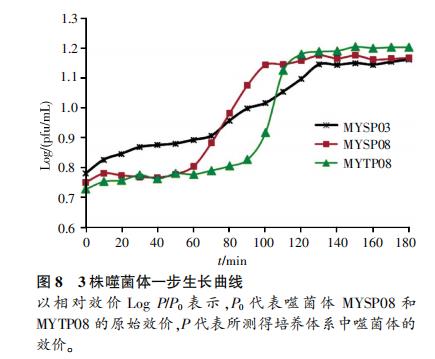 明永冰川地區(qū)低溫黃桿菌噬菌體生長曲線繪制及生物學(xué)特性（四）
