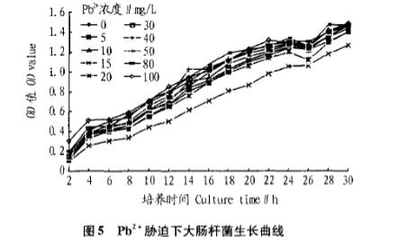 重金屬脅迫培養(yǎng)對大腸桿菌和枯草芽孢桿菌生長曲線的影響（二）