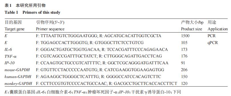 乙腦病毒株囊膜蛋白I176R位點在BV-2細胞上的生長特性差異——材料與方法