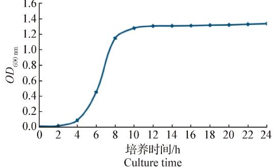 牦牛源產(chǎn)氣莢膜梭菌qinghai-12的生化特征及生長曲線測定（二）