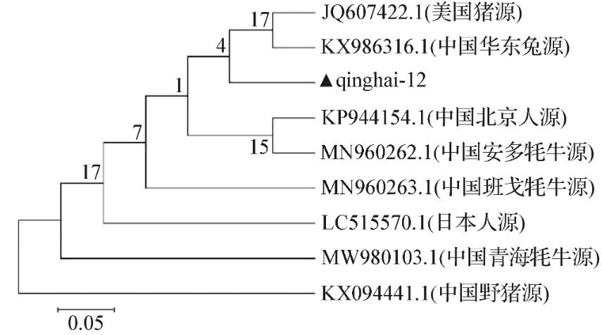 牦牛源產(chǎn)氣莢膜梭菌qinghai-12的生化特征及生長曲線測定（三）