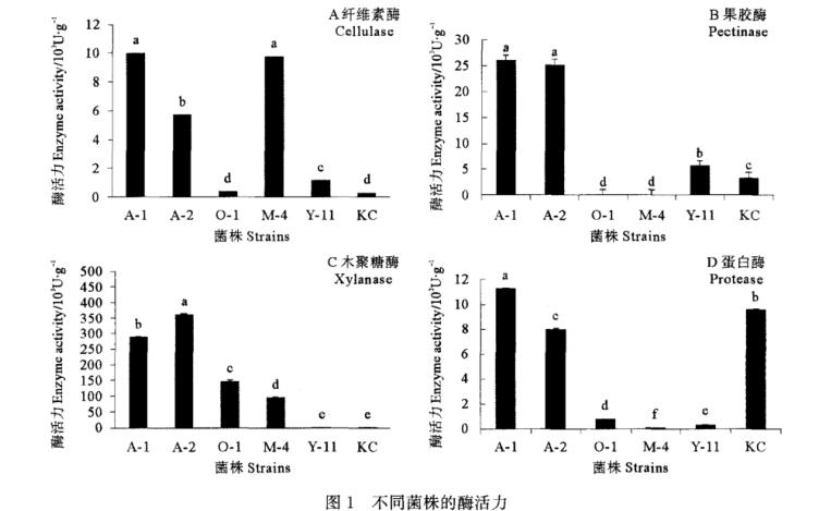 高效降解豆粕碳水化合物和蛋白的菌株篩選及發(fā)酵條件優(yōu)化（一）