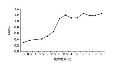 CSP-MDA-7/IL-24重組蛋白肝靶向肽-抗腫瘤肽的最佳表達條件（一）
