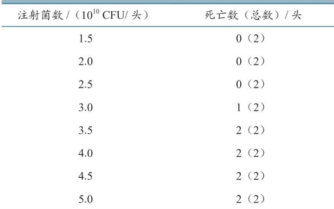 豬丹毒絲菌C43-5株生長曲線、毒力檢定標準（三）