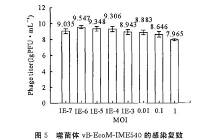 雞大腸埃希氏菌裂解性噬菌體一步生長曲線、生物學特征及全基因組測序（二）