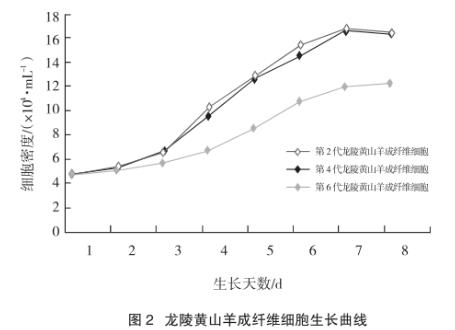 龍陵黃山羊成纖維細(xì)胞系制備方法、生長(zhǎng)曲線測(cè)定（二）