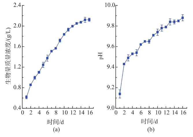 利用膜光生物反應(yīng)器培養(yǎng)和預(yù)采收鈍頂螺旋藻的條件（二）