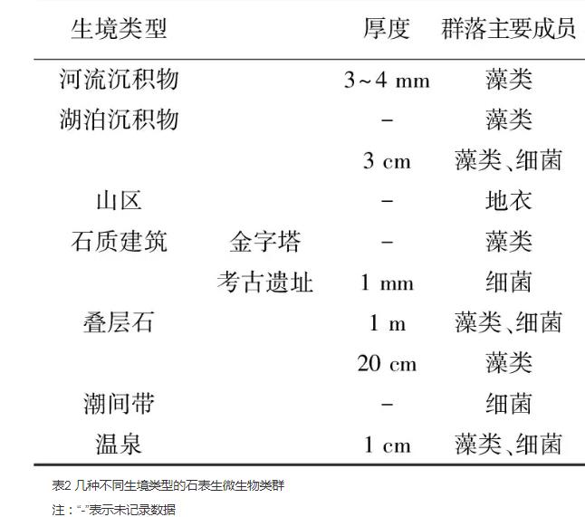 什么是石生微生物？石生微生物的種類與分布