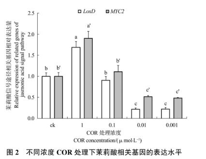 不同濃度冠菌素對番茄防御基因表達、胼胝質(zhì)沉積及野生型致病菌生長的影響（一）