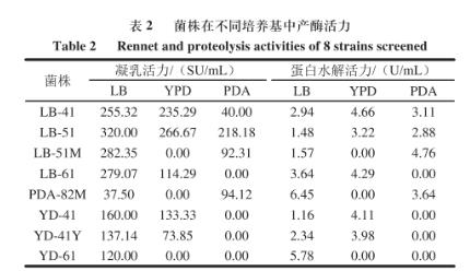 江米酒曲中高產(chǎn)凝乳酶菌篩選、生長(zhǎng)曲線及凝乳活力及蛋白水解活力測(cè)定（二）