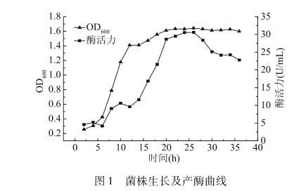 瓊膠酶活性不動(dòng)桿菌體生長(zhǎng)、產(chǎn)酶曲線、酶解反應(yīng)研究（一）